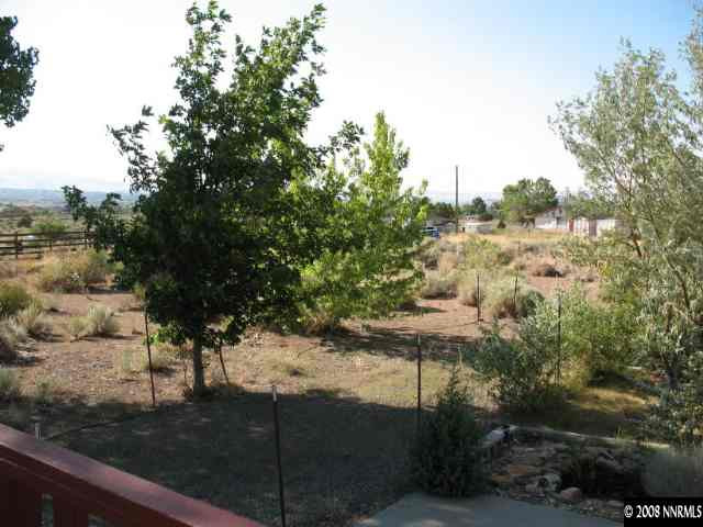 1525 Moon Lane Reno, NV 89521 - Photo 5 of 6 a view of a yard with plants and large trees