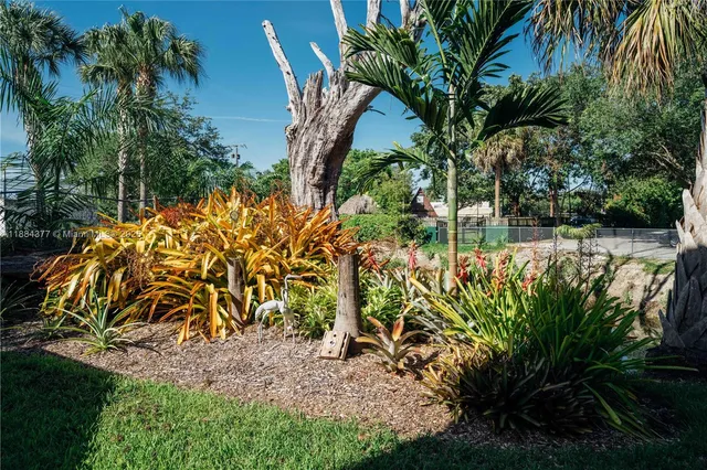 a view of a yard with plants