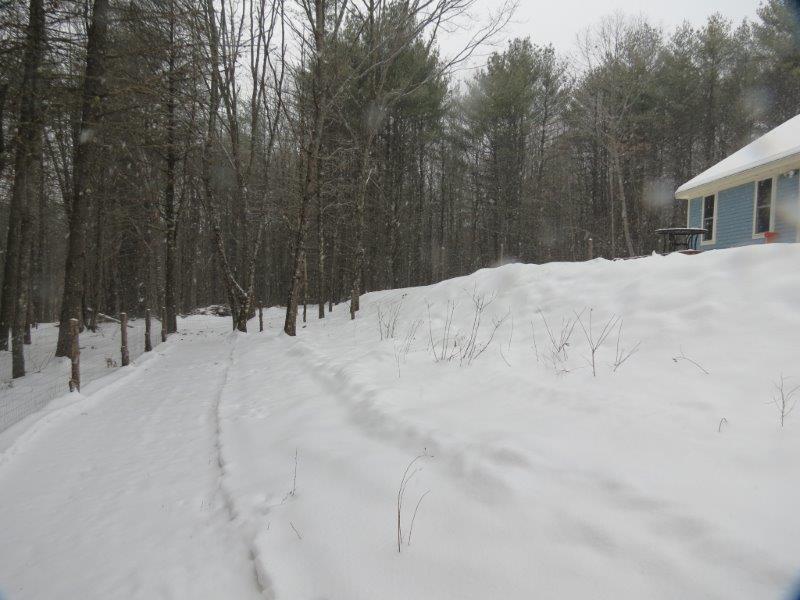 235 Dawes Hill Road Harrison, ME 04040 - Photo 35 of 35 Fenced in backyard