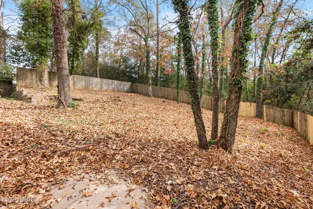 a view of a yard with trees