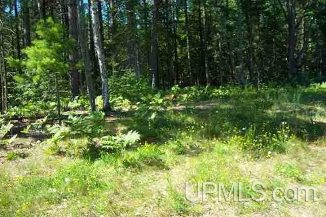 1011 North Co Road Gwinn, MI 49841 - Photo 1 of 2