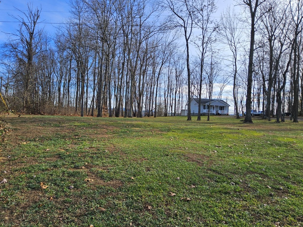 397 Musser Mill Road Crockett, VA 24323 - Photo 4 of 27 Gallery Image 4