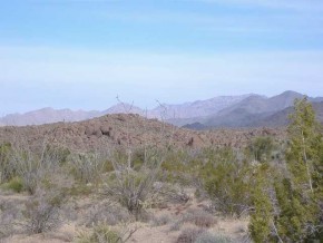 Alamo Road Yucca, AZ 86438 - Photo 1 of 1 Primary Photo