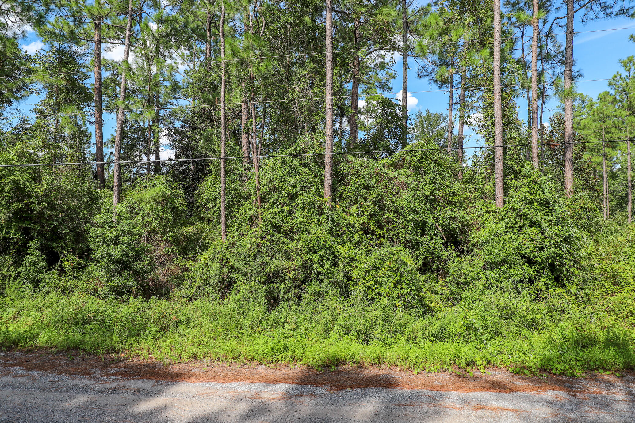 0 Michaelangelo Road, Unit LOT 16 DeFuniak Springs, FL 32433 - Photo 2 of 4 3