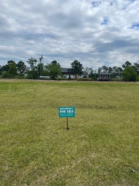 421 Bay Tree Drive Harrells, NC 28444 - Photo 2 of 3 IMG_3269