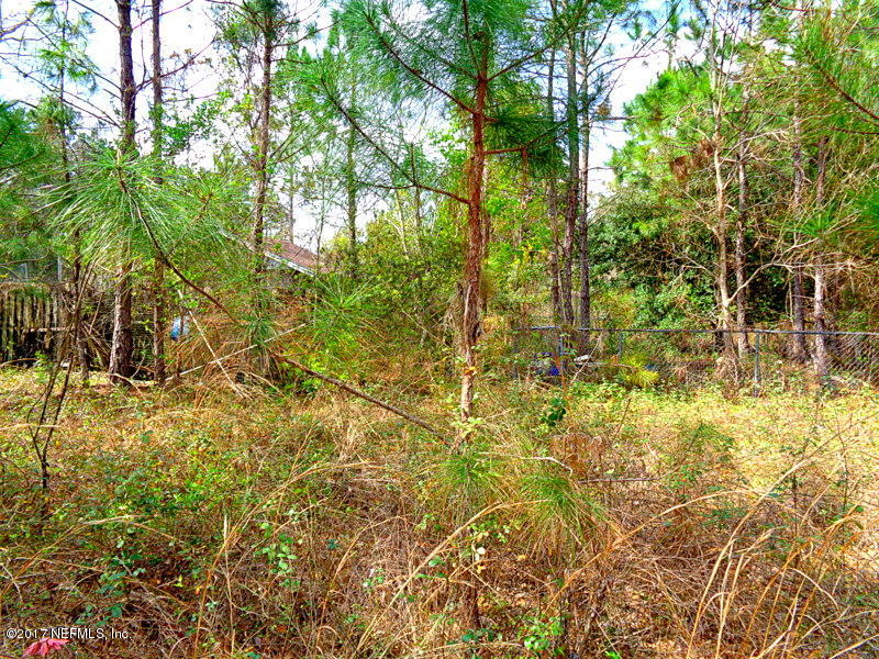 1540 Chaffee Road South Jacksonville, FL 32221 - Photo 5 of 6 DSC04562