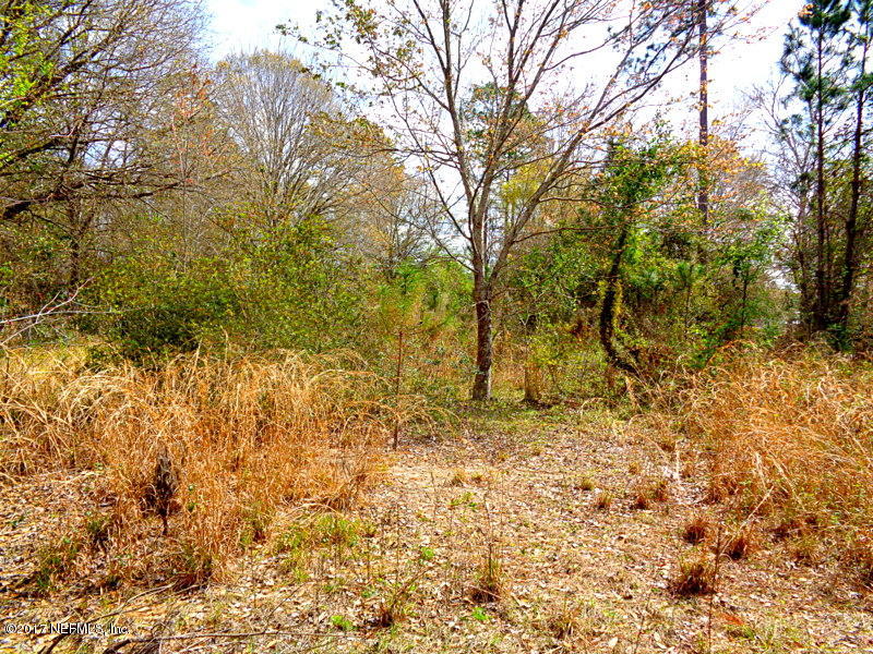 1540 Chaffee Road South Jacksonville, FL 32221 - Photo 6 of 6 DSC04563