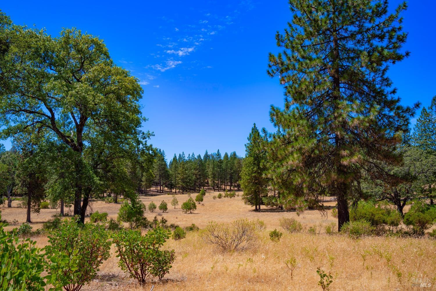 58380 Highway 162 Dos Rios, CA 95429 - Photo 5 of 62