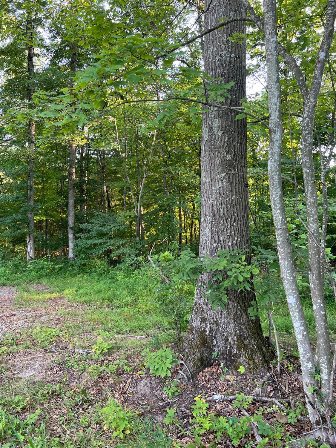 0 Tabernacle Road Chillicothe, OH 45601 - Photo 5 of 64