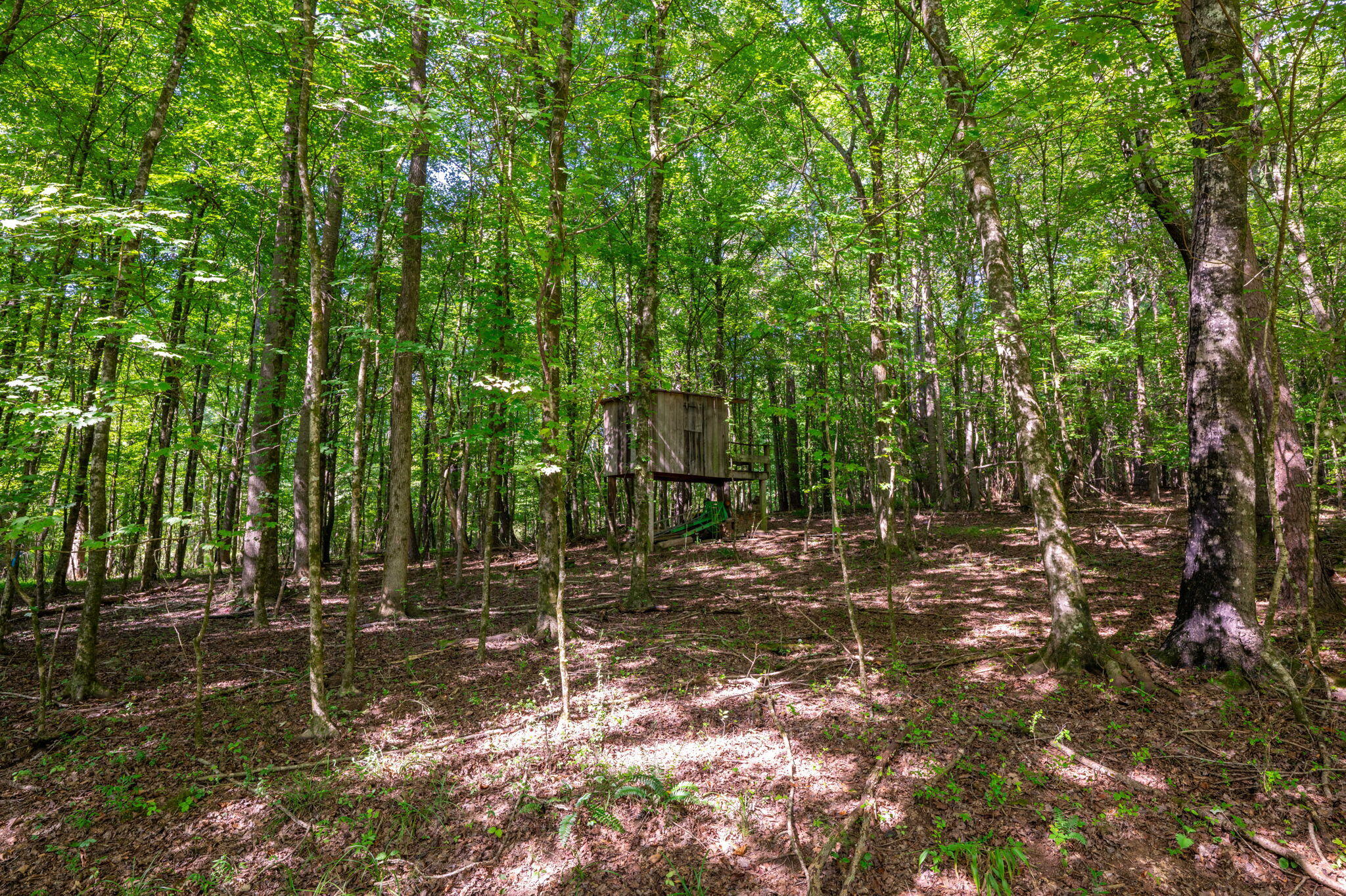 4851 McDonald Road McDonald, TN 37353 - Photo 50 of 60 50-web-or-mls-DSC_5646