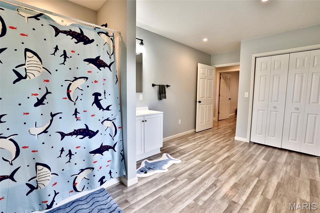 1005 Red Ball Trail Coffeen, IL 62017 - Photo 23 of 42