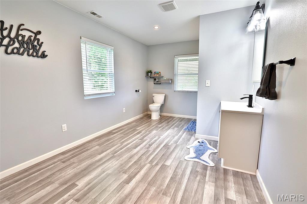 1005 Red Ball Trail Coffeen, IL 62017 - Photo 24 of 42