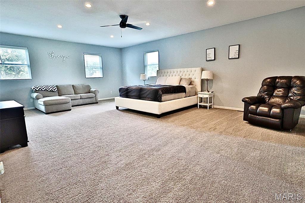 1005 Red Ball Trail Coffeen, IL 62017 - Photo 29 of 42