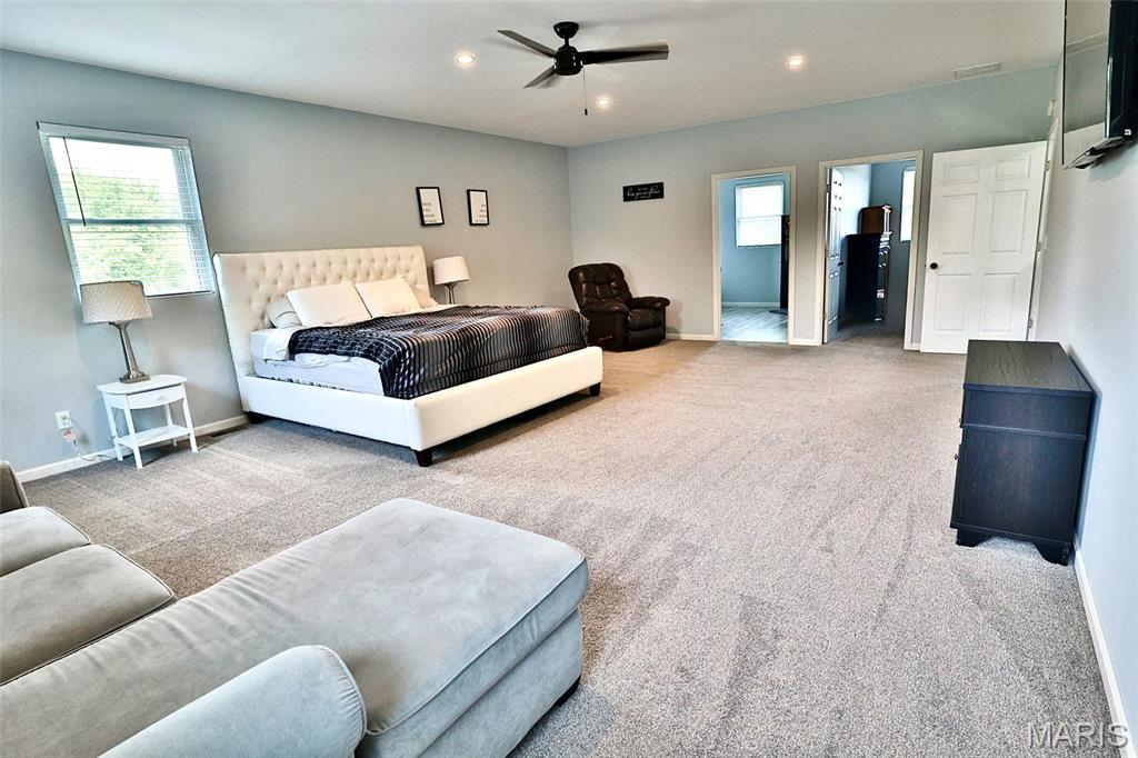 1005 Red Ball Trail Coffeen, IL 62017 - Photo 30 of 42