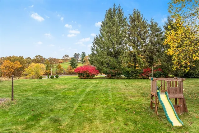a view of a garden with a slide
