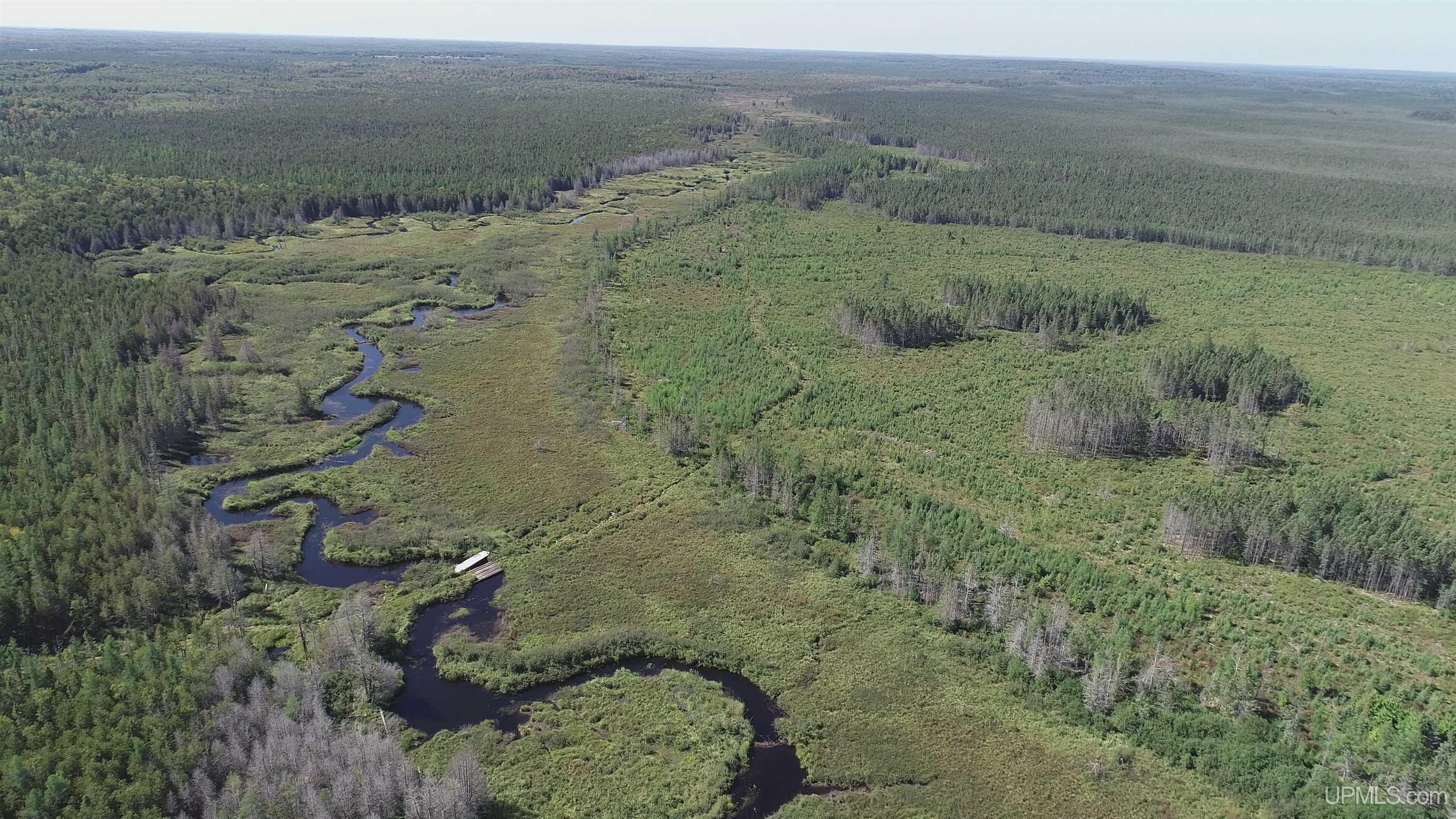 421-acres Lang Road Gulliver, MI 49840 - Photo 27 of 31 Gallery Image 27