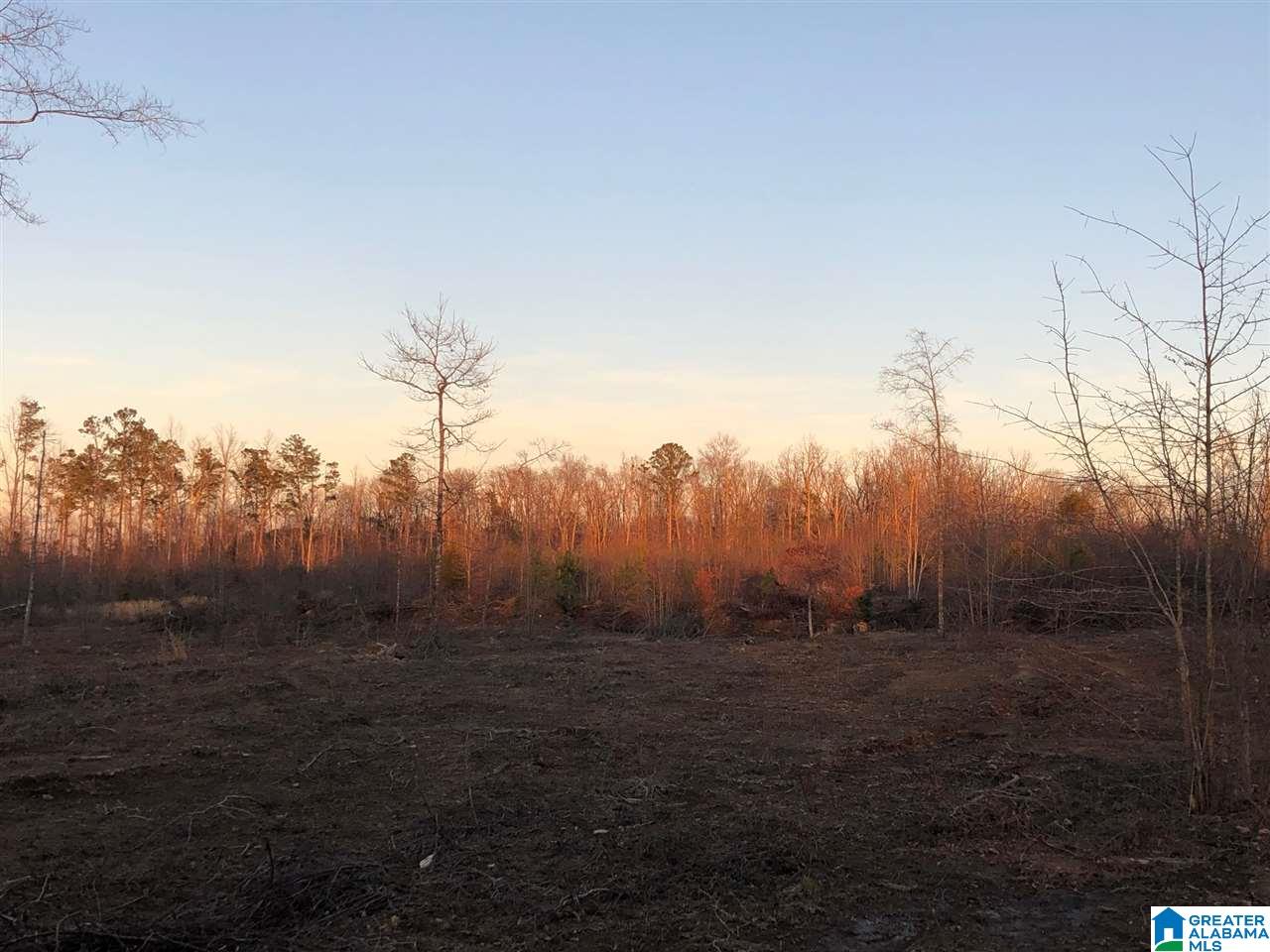 Pine Mountain Road, Unit 2 Springville, AL 35146 - Photo 2 of 16