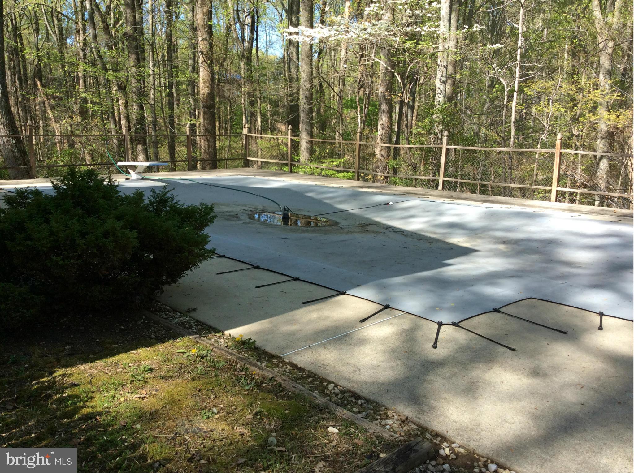 9495 Trinity Church Road Charlotte Hall, MD 20622 - Photo 10 of 12 Pool