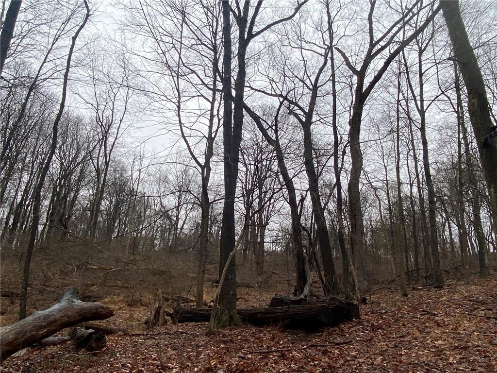 . Old Ramsey Road Monroeville, PA 15146 - Photo 6 of 8