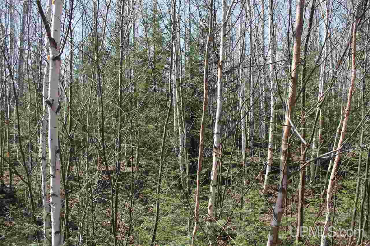 Tbd Reeds Point Road, Unit LAT 46 89919 LON 88 2455 Lanse, MI 49946 - Photo 5 of 19