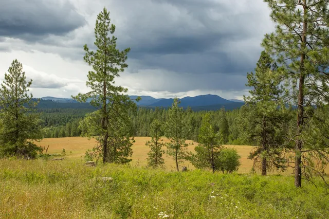 $599,000 | 4110 Cemetery Road, Springdale, WA 99173