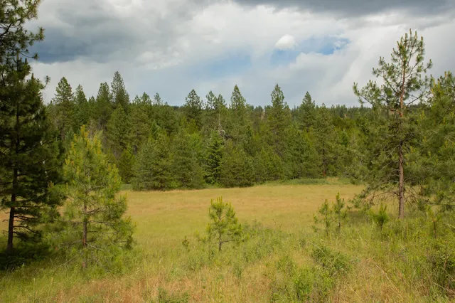 $599,000 | 4110 Cemetery Road, Springdale, WA 99173