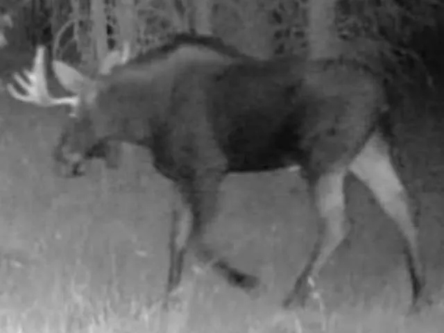 $599,000 | 4110 Cemetery Road, Springdale, WA 99173