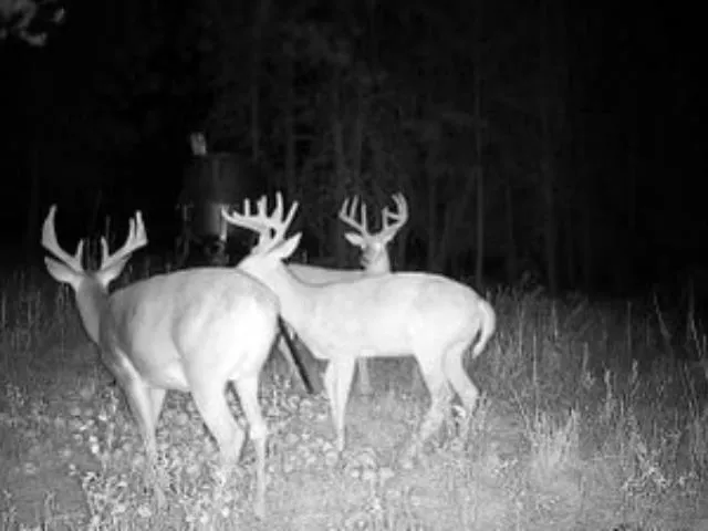 $599,000 | 4110 Cemetery Road, Springdale, WA 99173