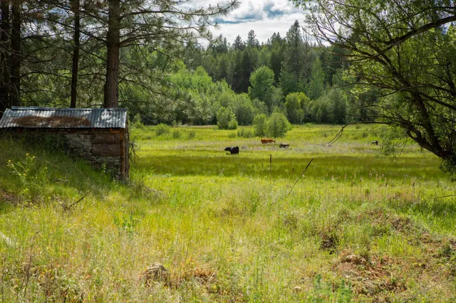 $599,000 | 4110 Cemetery Road, Springdale, WA 99173