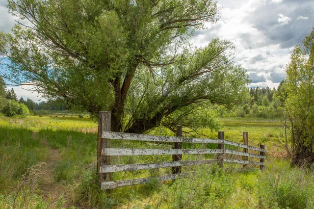 $599,000 | 4110 Cemetery Road, Springdale, WA 99173