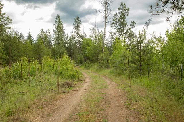 $599,000 | 4110 Cemetery Road, Springdale, WA 99173