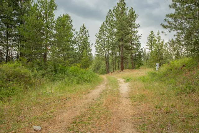 $599,000 | 4110 Cemetery Road, Springdale, WA 99173