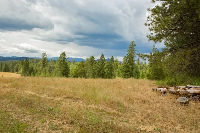 $599,000 | 4110 Cemetery Road, Springdale, WA 99173