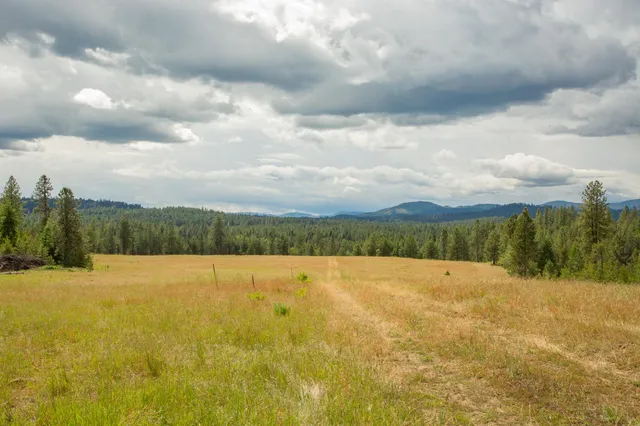 $599,000 | 4110 Cemetery Road, Springdale, WA 99173