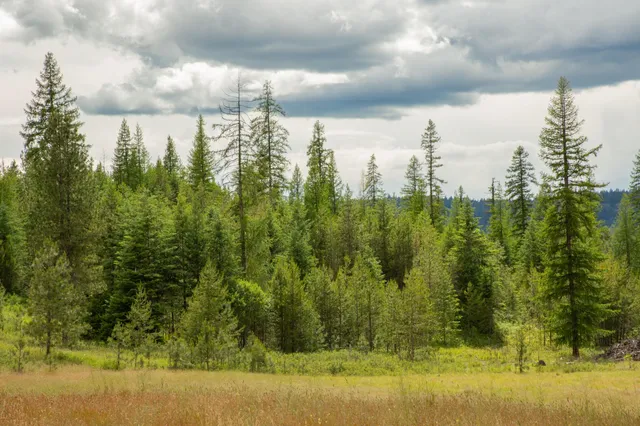 $599,000 | 4110 Cemetery Road, Springdale, WA 99173