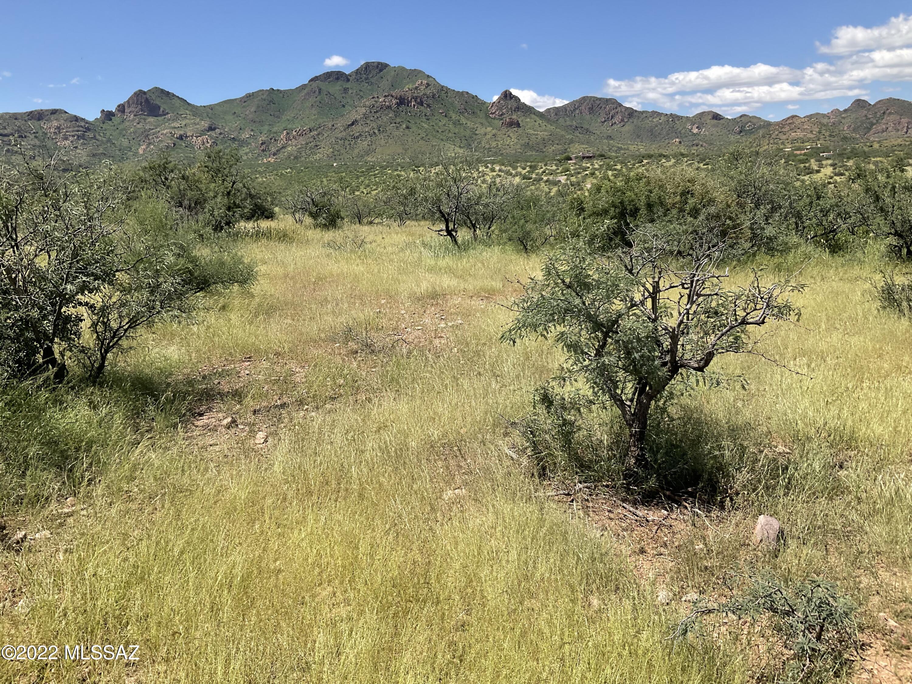 Tbd Aliso Springs Road Tubac, AZ 85646 - Photo 12 of 15