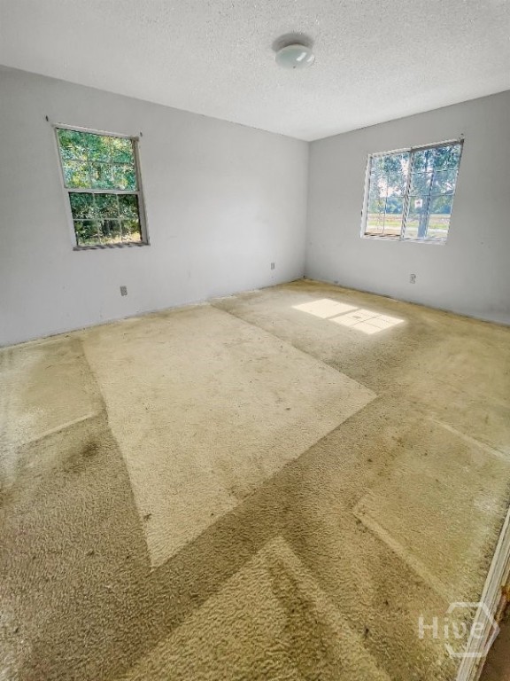 8447 Airline Road Pavo, GA 31778 - Photo 17 of 20