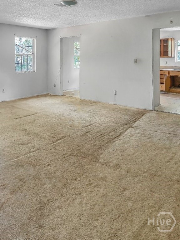 8447 Airline Road Pavo, GA 31778 - Photo 6 of 20