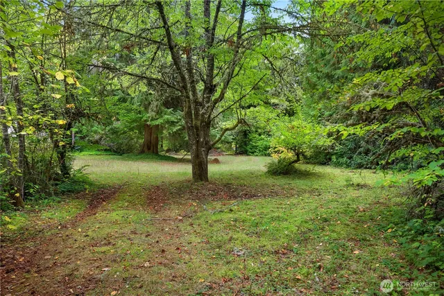 a view of a garden with a lake