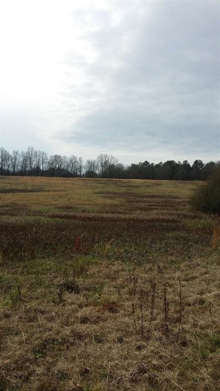Bethlehem School Road Pickens, SC 29671 - Photo 8 of 9