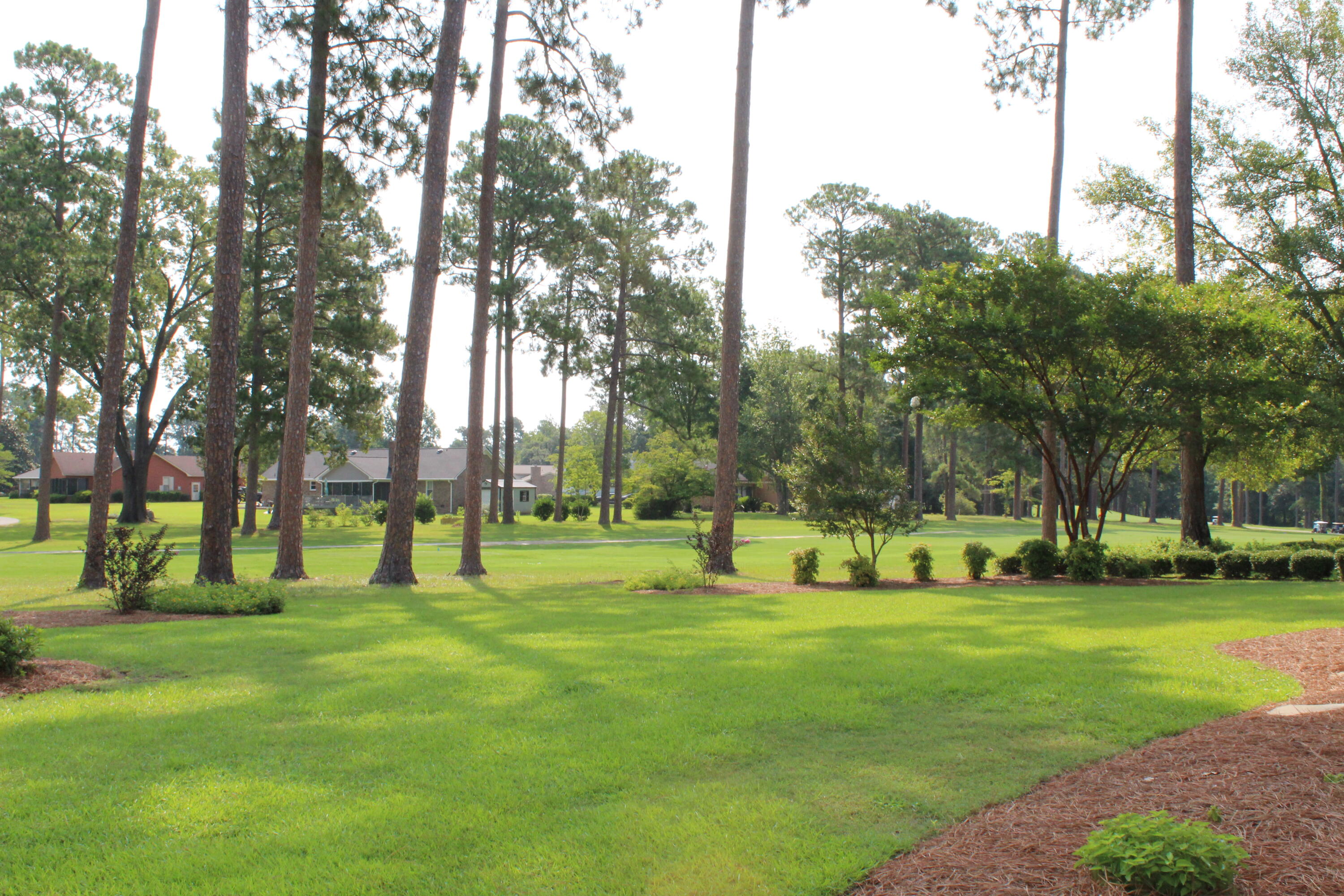 215 Cooper Drive Santee, SC 29142 - Photo 39 of 42 IMG_0195