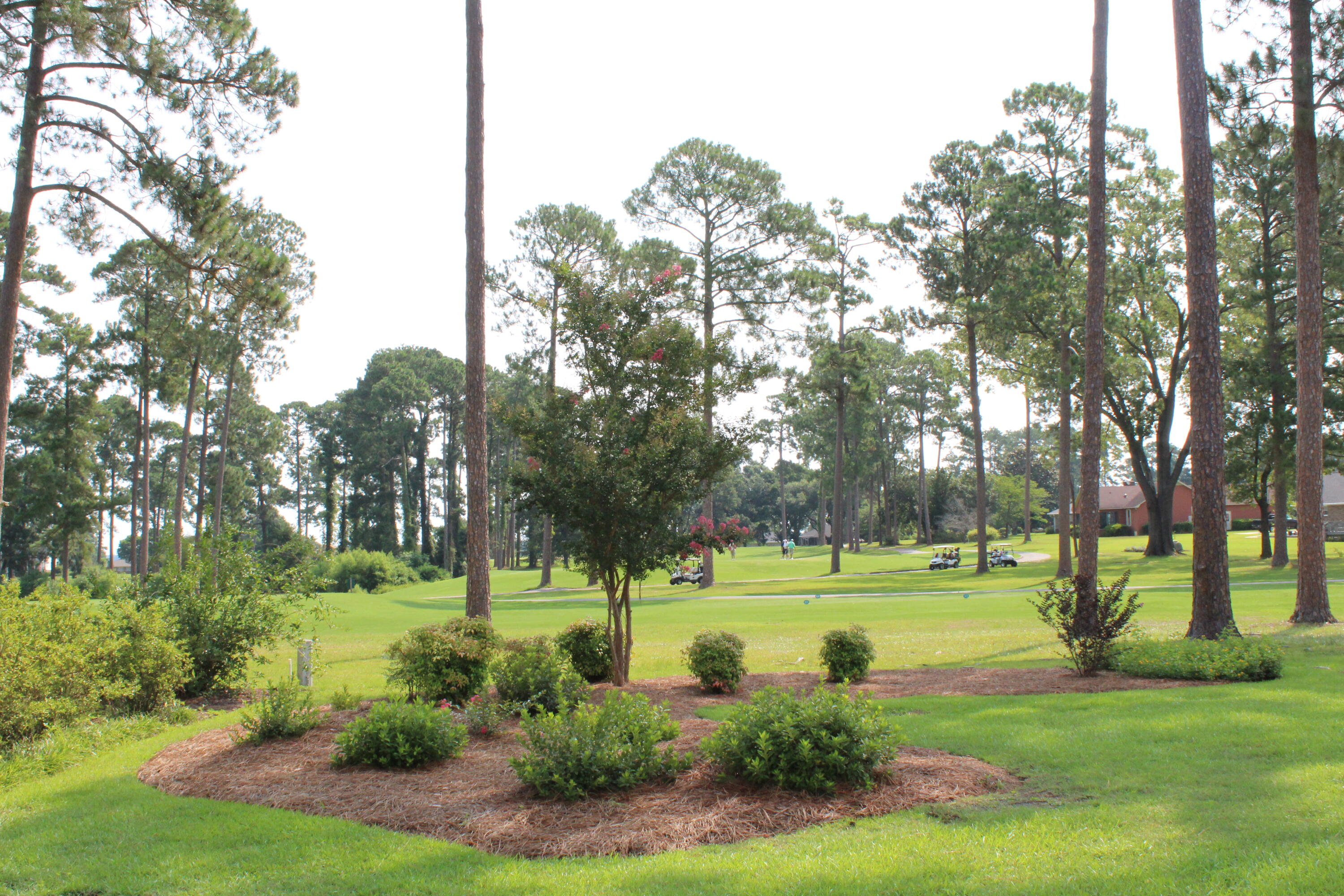 215 Cooper Drive Santee, SC 29142 - Photo 40 of 42 IMG_0196