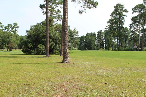 215 Cooper Drive Santee, SC 29142 - Photo 42 of 42 IMG_0199