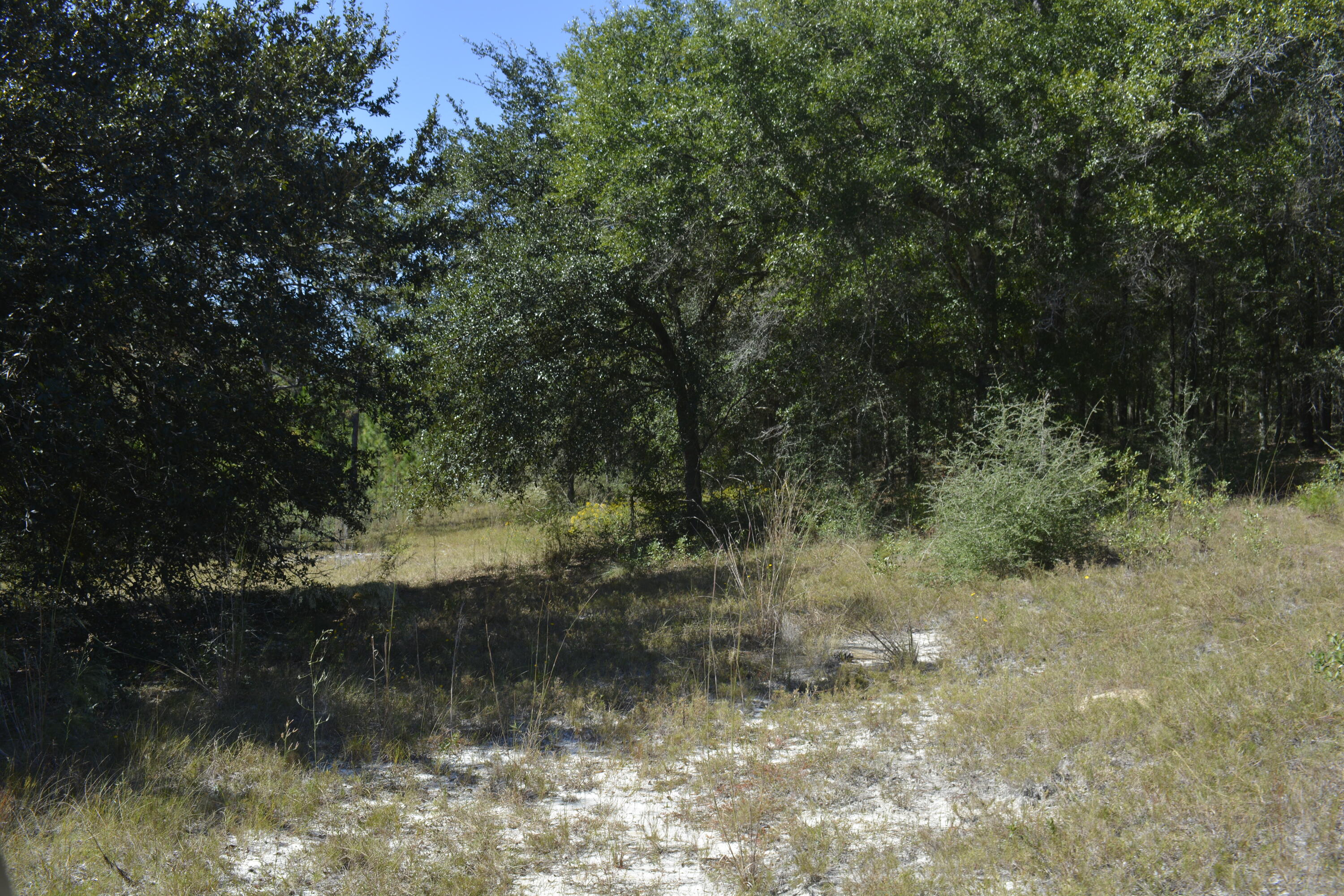 Xxx Xxx Aplin (32 Ac ) Road Crestview, FL 32539 - Photo 15 of 20 a view of a lake view