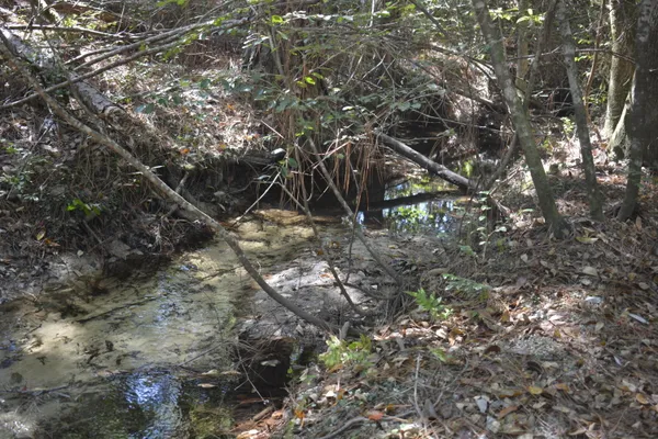 a view of water with trees in the background