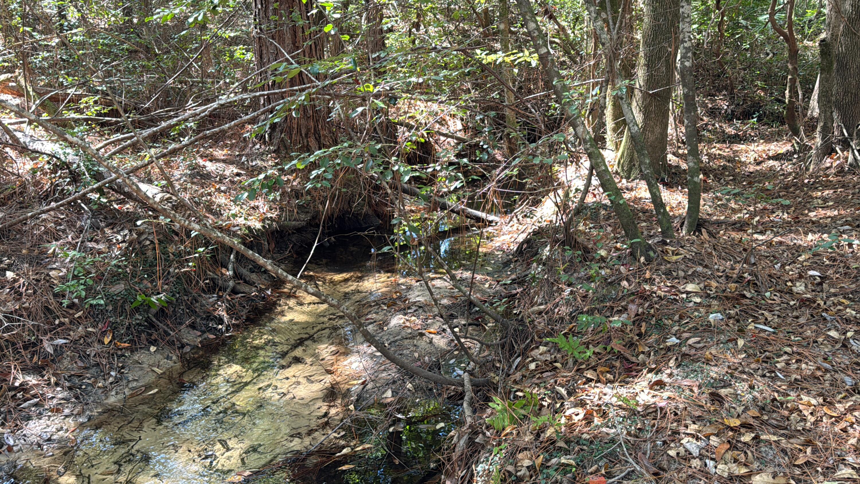 Xxx Xxx Aplin (32 Ac ) Road Crestview, FL 32539 - Photo 20 of 20 a backyard of a house