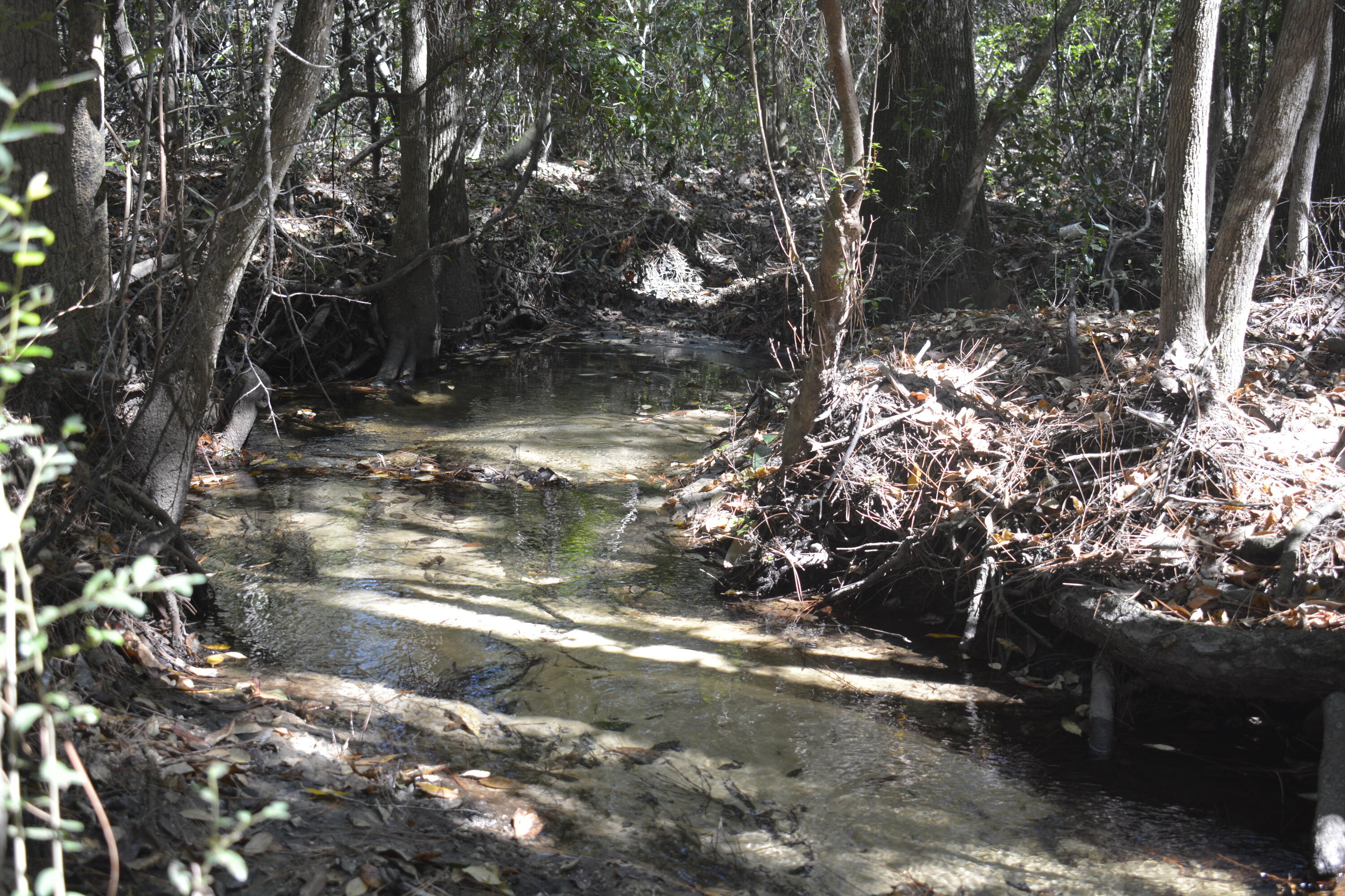 Xxx Xxx Aplin (32 Ac ) Road Crestview, FL 32539 - Photo 3 of 20