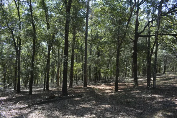 a view of outdoor space with trees