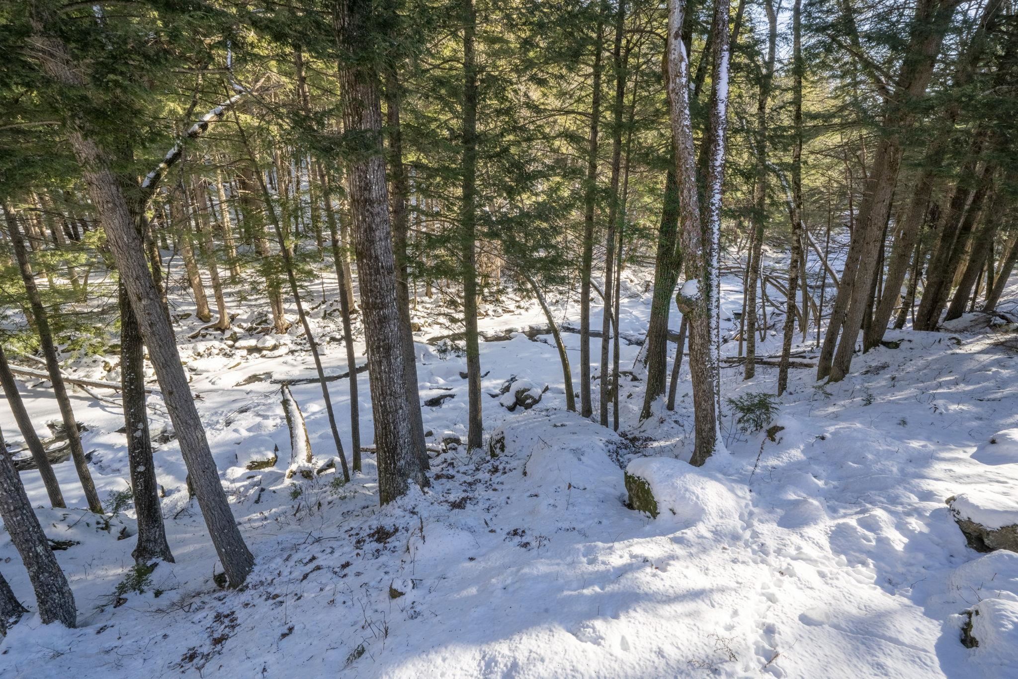 535 Beard Road Hillsborough, NH 03244 - Photo 52 of 60