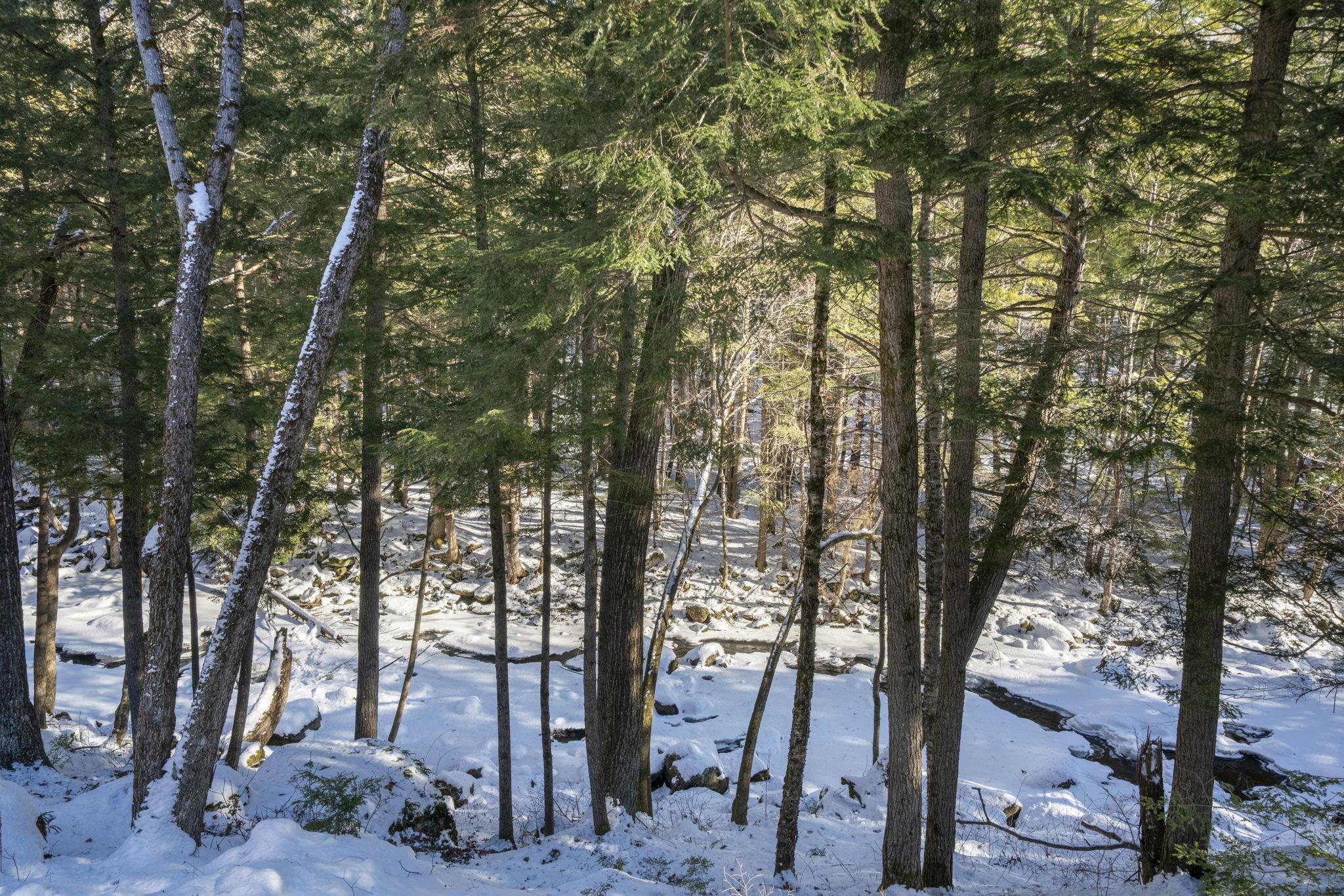 535 Beard Road Hillsborough, NH 03244 - Photo 53 of 60